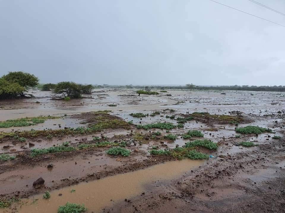 296886da84674b13be1638ba517957ad